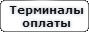 наше казино принимает платежи с терминалов оплаты